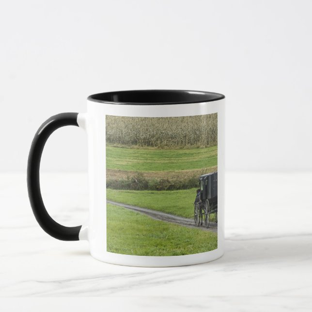 Tasse Boguet amish sur la ruelle de ferme, Ohio du (Gauche)