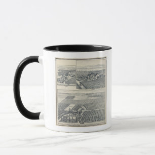 Tasse Bonacourt Ranch, Washington Colony, Californie