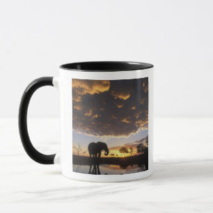 Tasse Botswana, parc national de Chobe, Éléphant