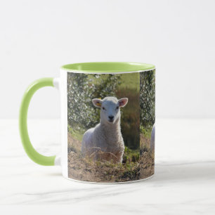 Tasse Boue d'agneau de printemps