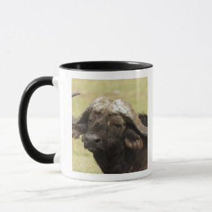 Tasse Buffle d'Afrique, Syncerus caffer