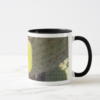 Tasse Cactus
