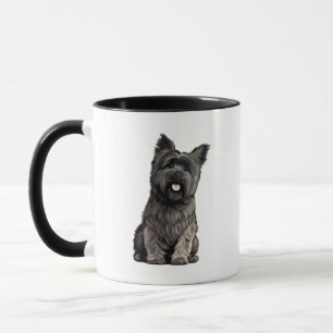Tasse Cairn Terrier