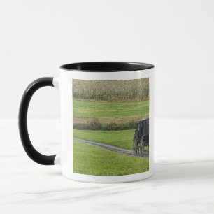 Tasse Calèche amish sur une route de campagne, Ohio du N