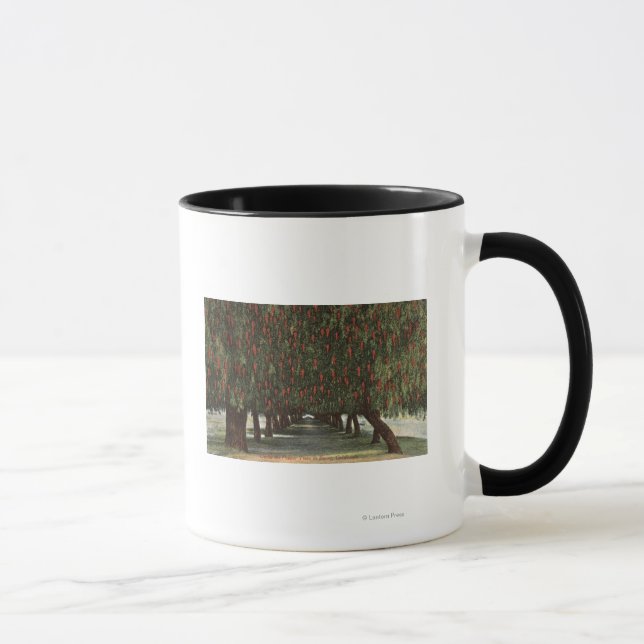 Tasse CalifornieGroves de poivriers (Droite)