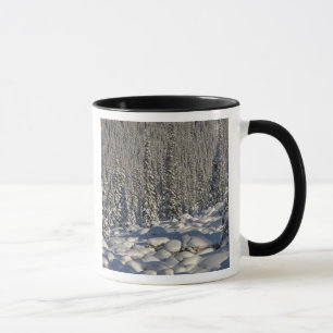 Tasse Canada, Alberta, parc national de Jasper.