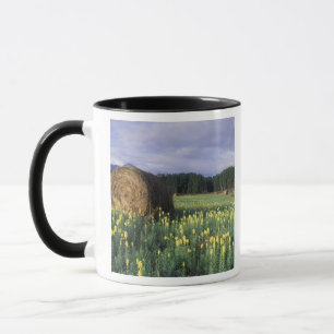 Tasse Canada, Colombie-Britannique, Kitwanga. Jaune
