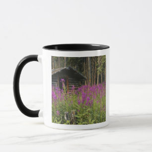 Tasse Canada, Yukon, région de Ross River, cabane abando