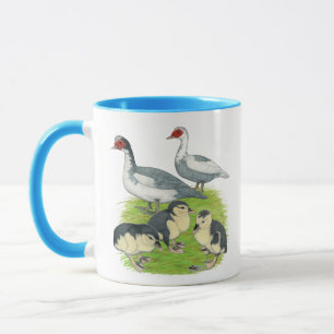 Tasse Canards Barbus Muscovy Famille