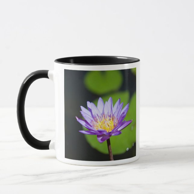 Tasse Cancun, Mexique (Gauche)