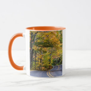 Tasse Canopée De Couleur D'Automne Le Long De L'Autorou
