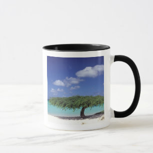 Tasse Caraïbes, Aruba. Plage Eagle
