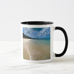 Tasse Caraïbes, îles Sous-le-Vent, Antigua, Dickenson