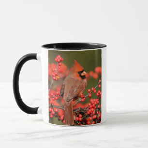 Tasse Cardinal du Nord sur Houx verticillé