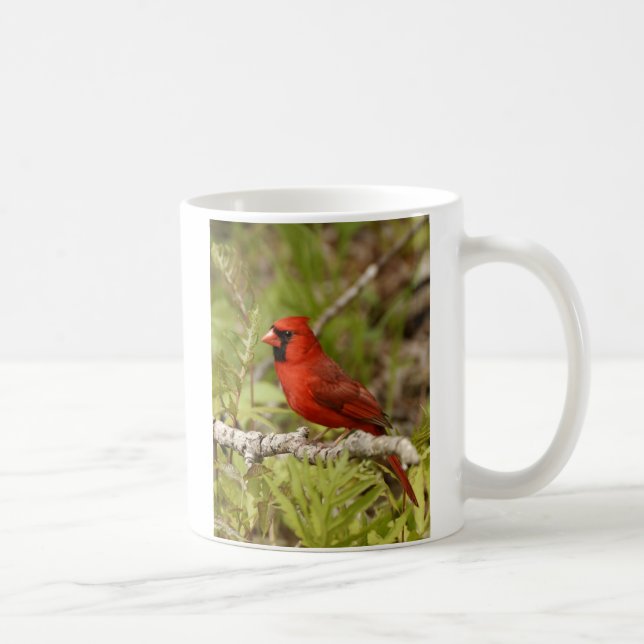 Tasse cardinale (Droite)