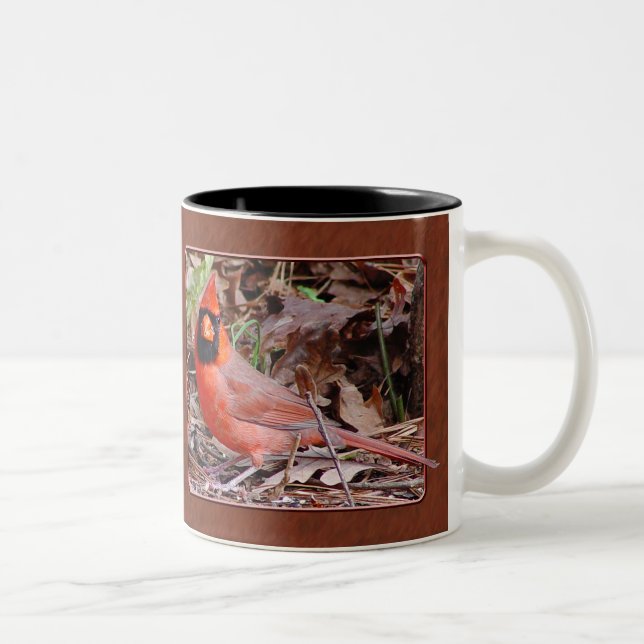 Tasse cardinale du nord (Droit)