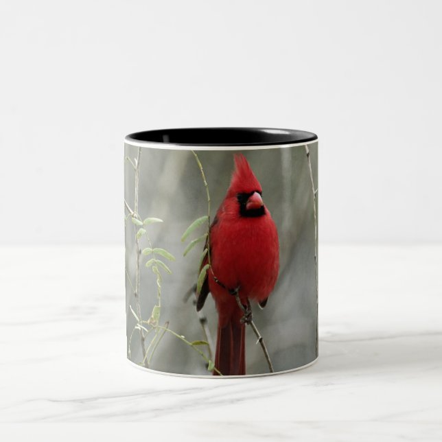 Tasse cardinale magnifique de photo (Centre)
