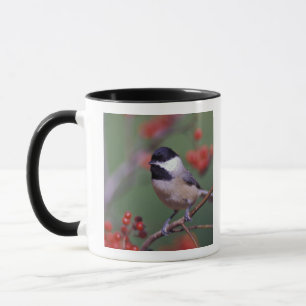 Tasse Carolina Chickadee