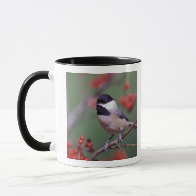 Tasse Carolina Chickadee (Gauche)