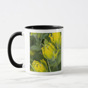 Tasse Castilléjie dorée indienne