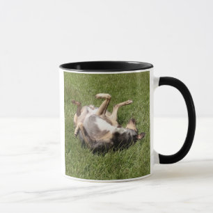 Tasse Catahoula Leopard Chien Roulant dans l'herbe