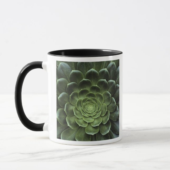 Tasse Centre de cactus (Gauche)
