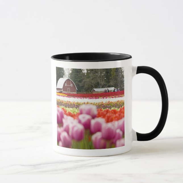 Tasse Champs de Tulip de Mt Vernon, comté de Skagit, WA (Droite)