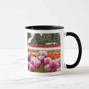 Tasse Champs de tulipes de Mt. Vernon, comté de Skagit, 