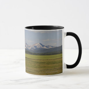 Tasse Champs et Rolling Hills verts avec des montagnes