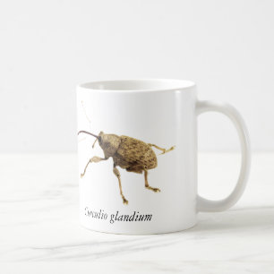 Tasse Charançon du gland