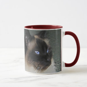 Tasse Chat Birman Ragdoll et citation Kitty