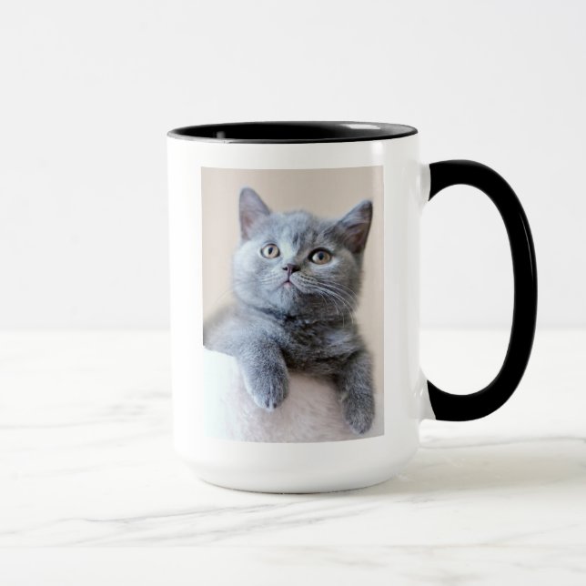 Tasse Chat britannique gris de Shorthair (Droite)
