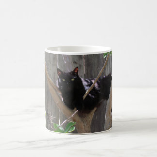 Tasse - Chat dans les branches