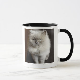Tasse Chat de l'Himalaya de point bleu semblant irrité