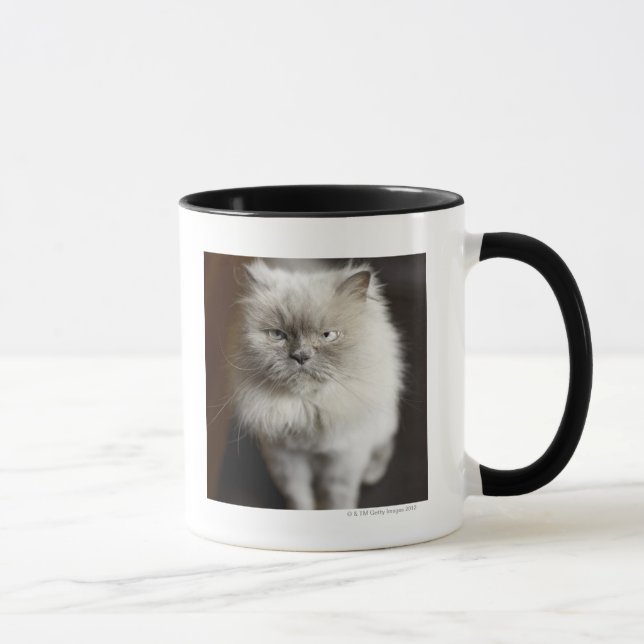 Tasse Chat de l'Himalaya de point bleu semblant irrité (Droite)
