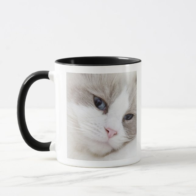 Tasse Chat de Ragdoll (Gauche)