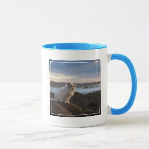Tasse Chat de Ragdoll à la plage