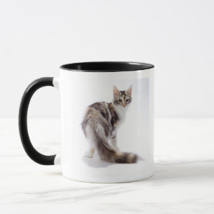 Tasse Chat de ragondin du Maine