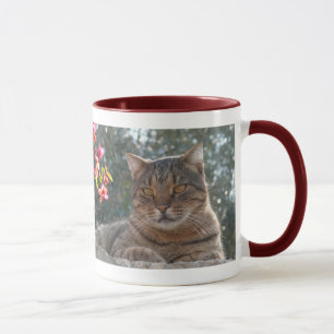 Tasse Chat de tigre Pandelie