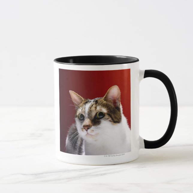 Tasse Chat mannois (Droite)