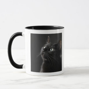 Tasse Chat noir sur le fond noir, plan rapproché