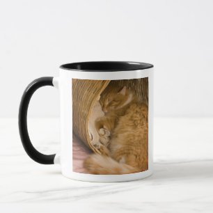 Tasse Chat tigré orange dormant dans un panier