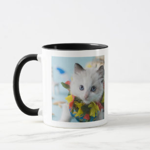 Tasse Chaton de poupée de chiffon et vacances d'été