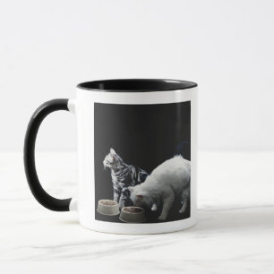 Tasse Chats avec le bol de nourriture