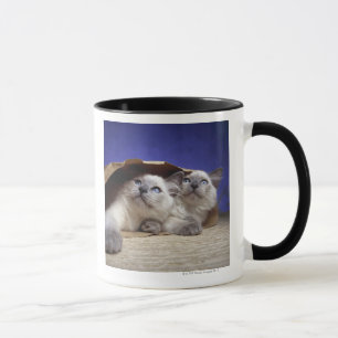 Tasse Chats dans le sac de papier