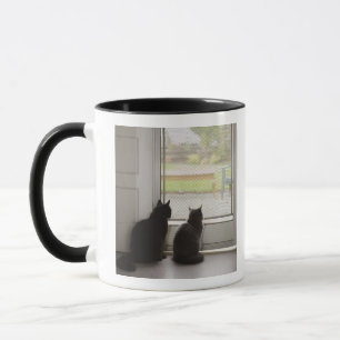 Tasse Chats regardant la porte grillagée