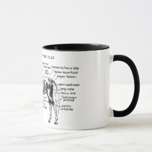 Tasse Cheval