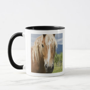 Tasse Cheval brun clair