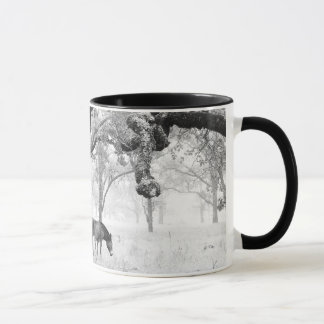 Tasse Cheval dans le domaine brumeux des chênes