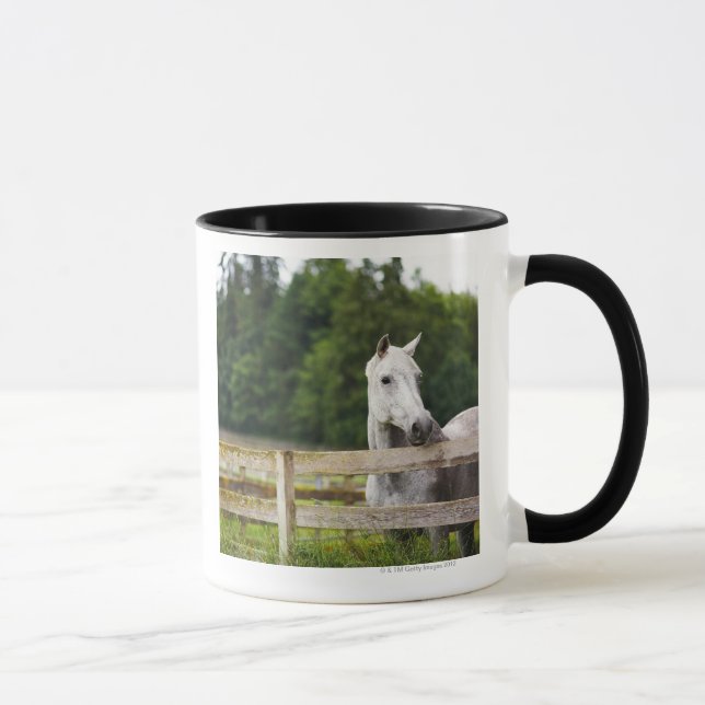 Tasse Cheval dans le domaine regardant au-dessus de la (Droite)